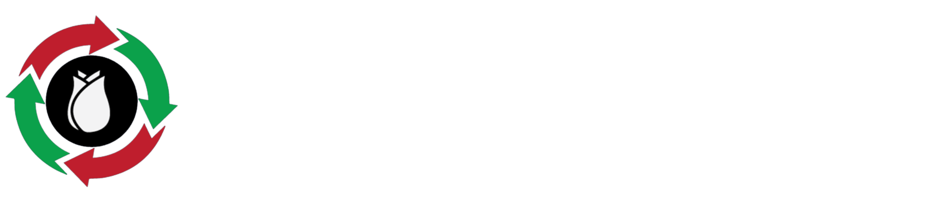 pp